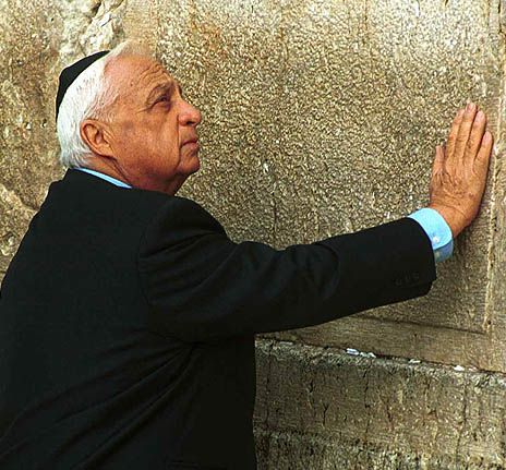 הרופאים למשפחתו של אריק שרון: נותרו לו ימים ספורים