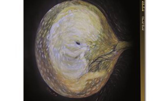 אחרי שמונה ילדים, נורית גזית עם 'לידה תשיעית'