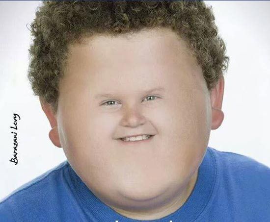 ארגון ההורים לשר החינוך: "קמפיין השמנת הילדים- מסוכן"