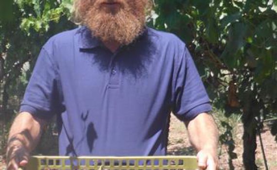 המהומות ביצהר: המשטרה עצרה שוב את בעז אלברט