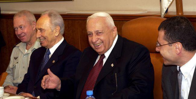 צפו בתחנות השונות בחייו של אריאל שרון - סרוגים
