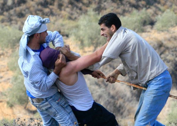 כתבי השטחים: מה שימח אותנו במכות שחטפו המתנחלים