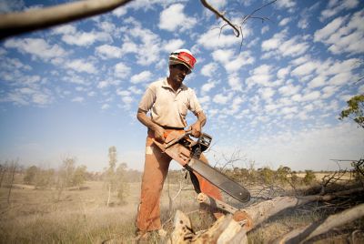 הפסיקו את כריתת העץ הדתי לאומי