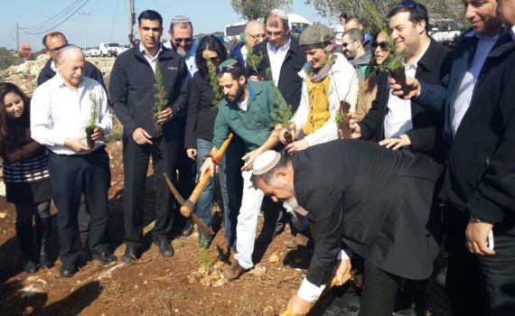 הבית היהודי בחגיגת נטיעות ביער שקד