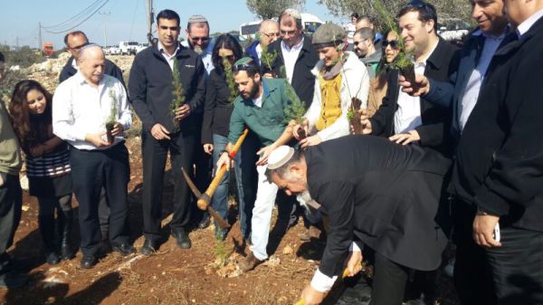 הבית היהודי בחגיגת נטיעות ביער שקד