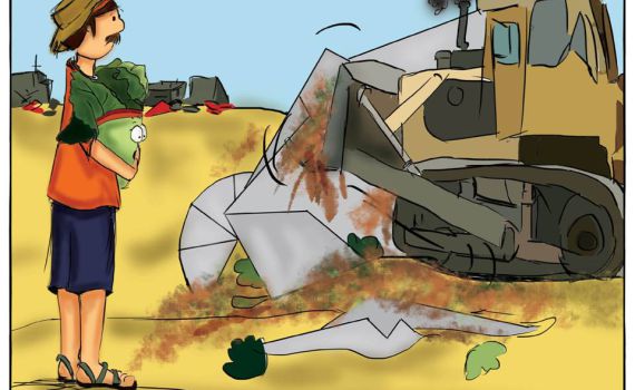 גוש קטיף לילדים: סיפורו של הגוש מנקודת מבטה של חסה