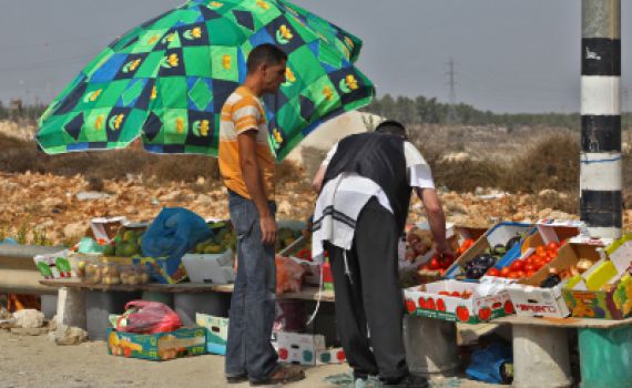 סוחרי שביעית: יבול נכרי יקר ב-200% מהיתר מכירה