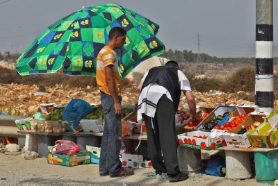 סוחרי שביעית: יבול נכרי יקר ב-200% מהיתר מכירה