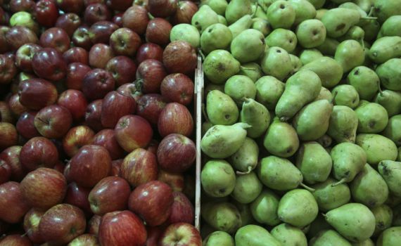 "ניתן להוזיל את מחירי הפירות והירקות בשמיטה"