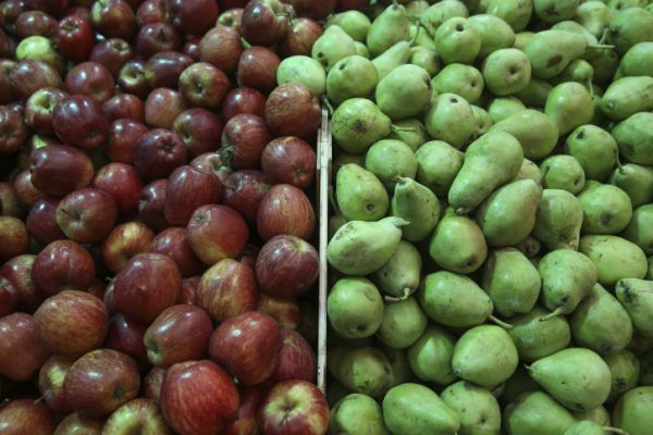 "ניתן להוזיל את מחירי הפירות והירקות בשמיטה"