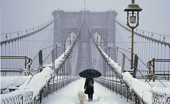 קור קטלני: 27 הרוגים בסופה שמשתקת את ארה"ב