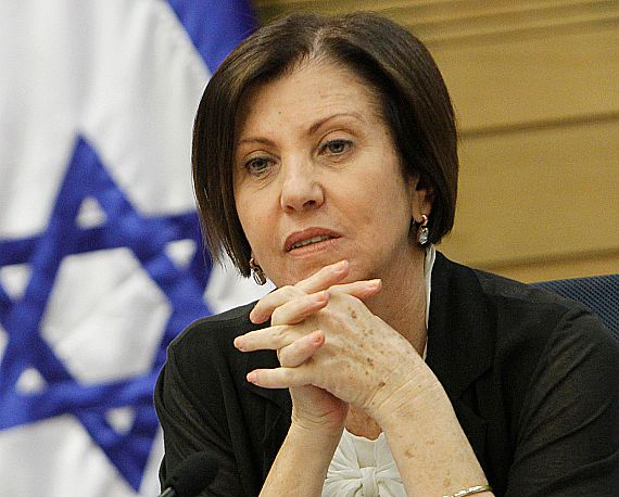 גלאון: ל'הסדר' הטבות שערורייתיות, הוא נולד בחטא