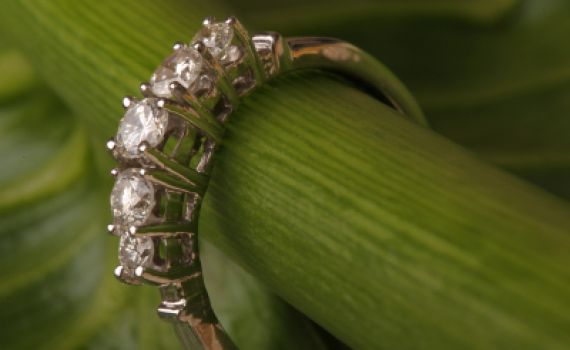 השוטרים החזירו לתיירת את טבעת היהלום היקרה שגנבו בדואים