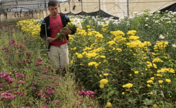 כאן צומחים מנהיגים: רגבים – ישיבה תיכונית חקלאית