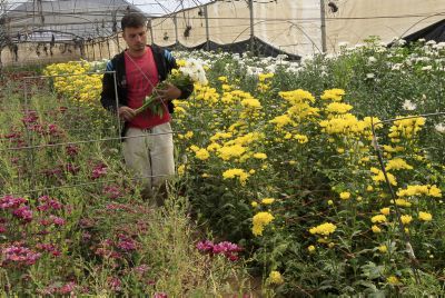 כאן צומחים מנהיגים: רגבים – ישיבה תיכונית חקלאית