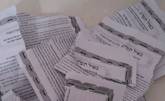 הקרע במגזר החרדי: אברכים השחיתו חידושי תורה של הרב שטיינמן