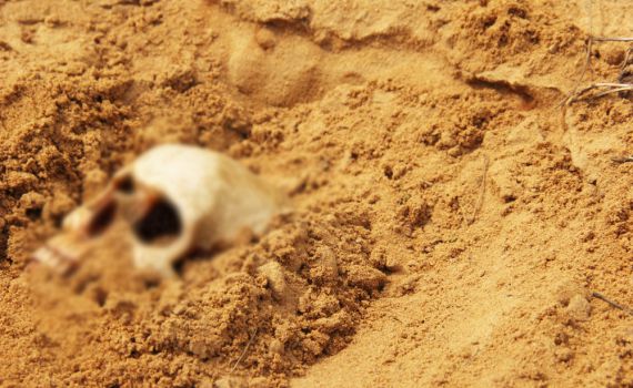 פריצת דרך: שלד עתיק יסייע בחקר הסרטן