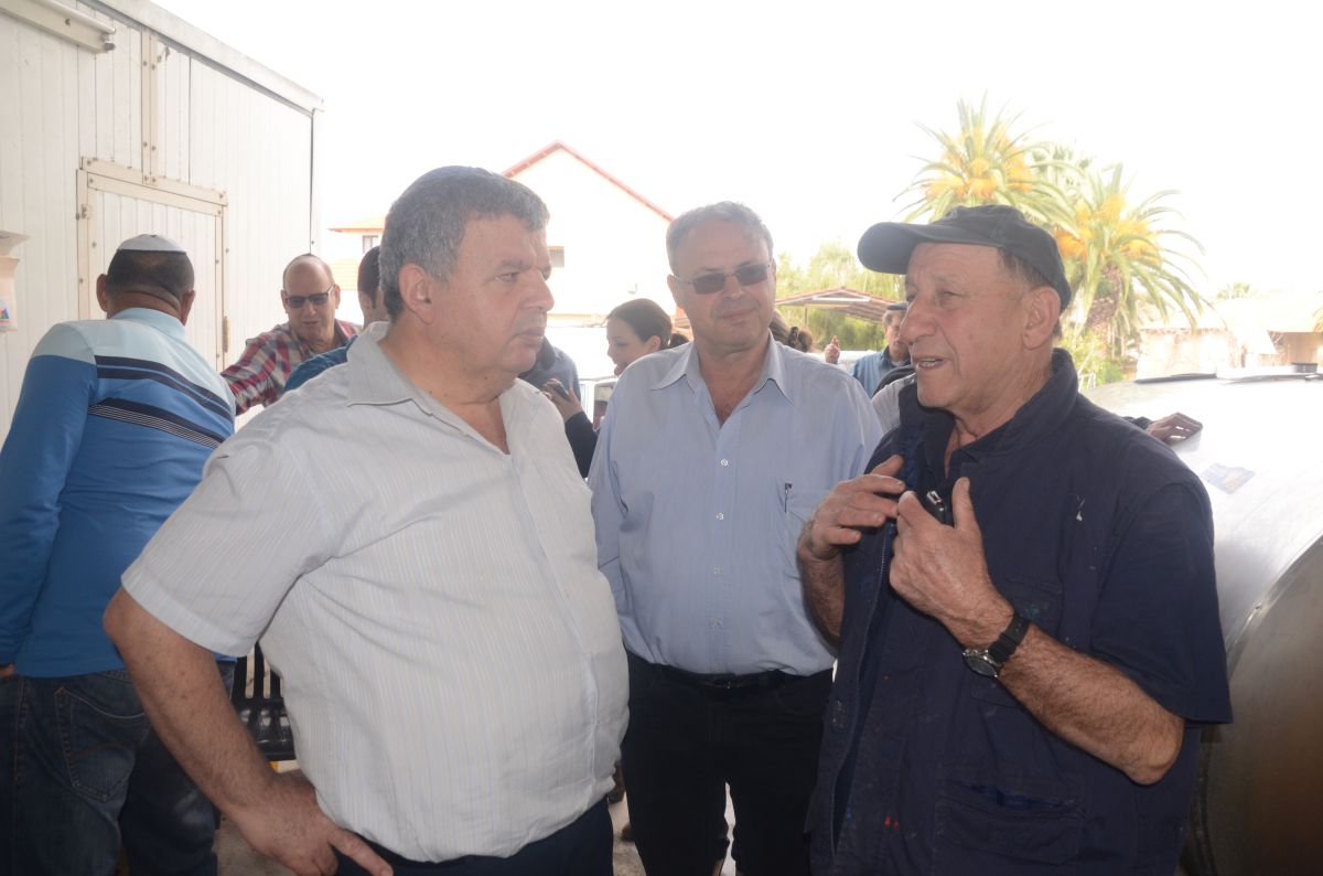 כלפה: "התנועה ניסו להכניס סעיף שישאיר פתח לגיור רפורמי"