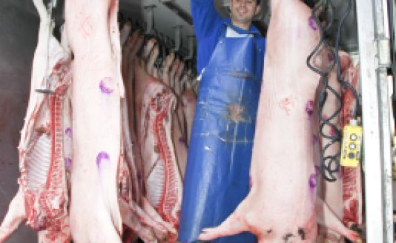 פרשת שמיני: אל תטמטמו את הנפש