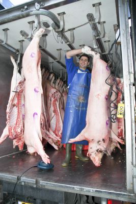 פרשת שמיני: אל תטמטמו את הנפש