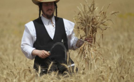 כמה מילים על פסח, מצה ומרור