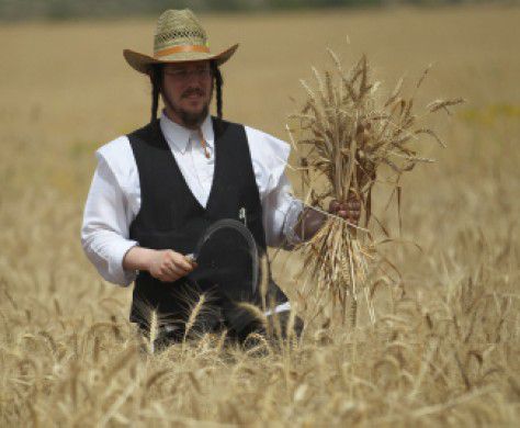 כמה מילים על פסח, מצה ומרור