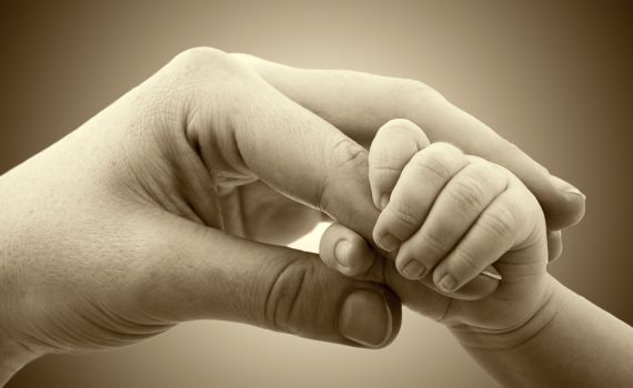 הבית היהודי: "נגיש ערר כנגד חוק הפונדקאות"