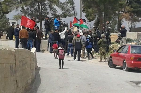 פלסטינים סילקו פעילי שמאל שהפגינו בחברון: "מחבלים בדו קיום"