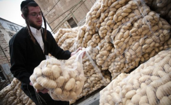 בגלל המחסור: לפיד אישר יבוא נוסף של 6,000 טון תפוחי אדמה