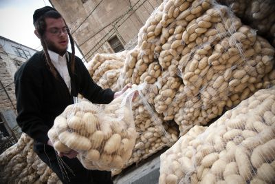 בגלל המחסור: לפיד אישר יבוא נוסף של 6,000 טון תפוחי אדמה