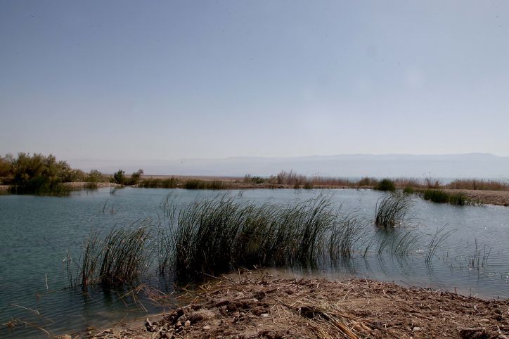 צעיר חרדי נפצע אנוש במעיין עין מודע