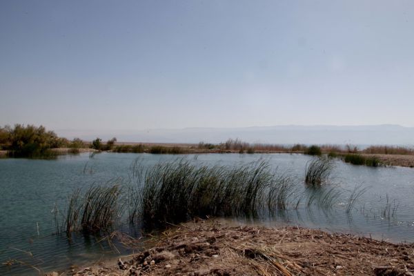 צעיר חרדי נפצע אנוש במעיין עין מודע