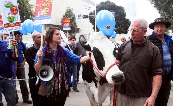 ״איבדנו את עצמנו לדעת לטובת הכסף״