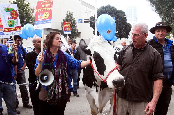״איבדנו את עצמנו לדעת לטובת הכסף״