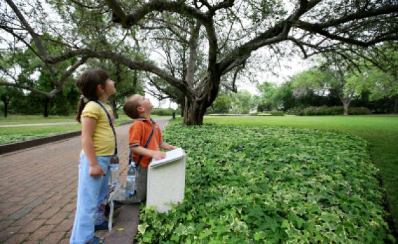 בית הלל יוצאים בקריאה לשנות את הגינון הציבורי לקראת השמיטה