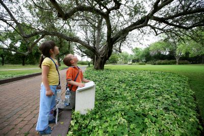 בית הלל יוצאים בקריאה לשנות את הגינון הציבורי לקראת השמיטה