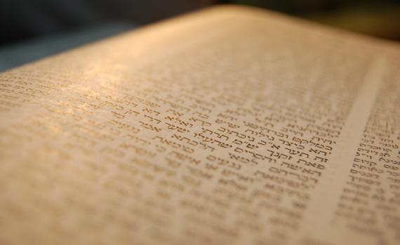 לומדים דף יומי עם הרב קצין: ראש השנה דף יט