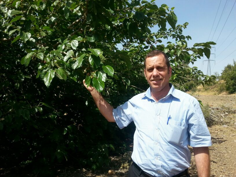 נהיה מוכנים לשמיטה, מי שאומר שלא – יתבדה