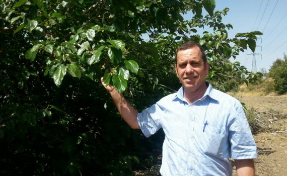 נהיה מוכנים לשמיטה, מי שאומר שלא – יתבדה