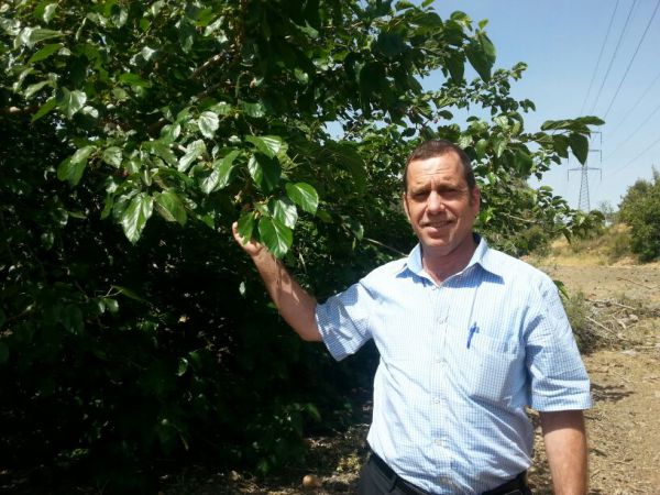 נהיה מוכנים לשמיטה, מי שאומר שלא – יתבדה