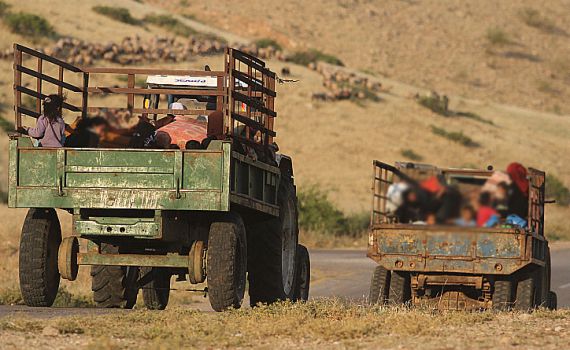ועדת שרים חדשה תעסוק בסוגיית התיישבות הבדואים