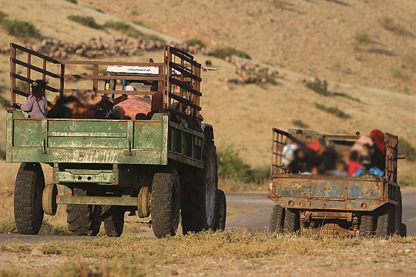 ועדת שרים חדשה תעסוק בסוגיית התיישבות הבדואים