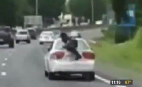 מטורף: נצמד לגג רכב בכביש מהיר