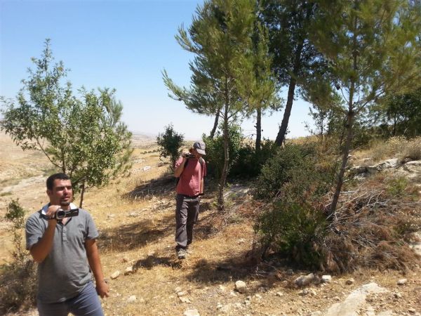 מנותקים: פעילי שמאל בפרובוקציה באביגיל