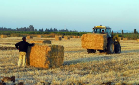 אסור לשנות את הרכב ועדת השמיטה