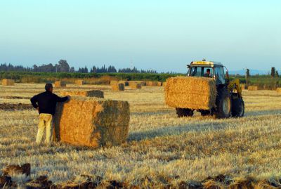 אסור לשנות את הרכב ועדת השמיטה