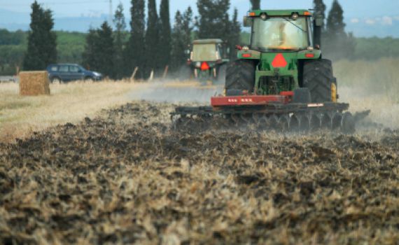 "החקלאים בישראל רוצים לשמור שמיטה כהלכתה"