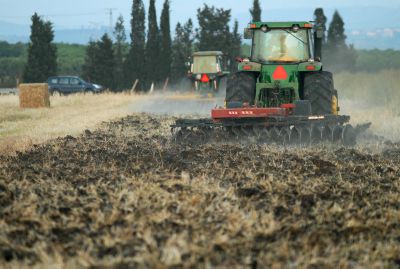 "החקלאים בישראל רוצים לשמור שמיטה כהלכתה"