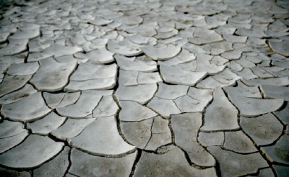 שר האוצר לפיד הודיע על שנת בצורת