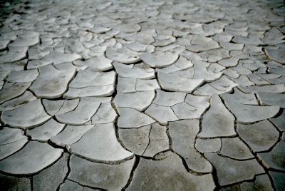 שר האוצר לפיד הודיע על שנת בצורת